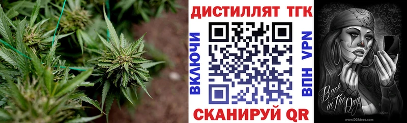 Купить Старый Оскол ТГК THC oil