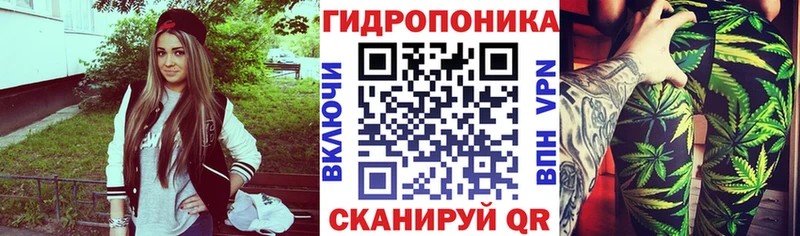 МАРИХУАНА SATIVA & INDICA Купить закладки Старый Оскол